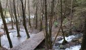 Trail Walking Waimes - Lac de Robert ville  - Photo 6