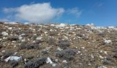 Trail Walking Caussols - Caussols - Photo 5