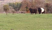 Tocht Stappen Ferrières - Fermières 15 nov 20 - Photo 2