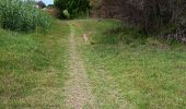 Trail Walking Sainte-Marie-la-Mer - sainte Marie la mer HUIT KM plus retour en voiture oups désolé  - Photo 16