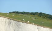 Tour Zu Fuß Escalles - Wikiloc - Cran d'Escalles - Photo 4