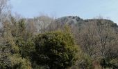 Trail Walking Courmes - Puy de Tourrettes et pic de Courmes  - Photo 5