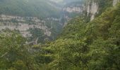 Trail Walking Saint-Julien-en-Vercors - le pont du diable - Photo 1