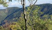 Excursión Senderismo Amélie-les-Bains-Palalda - A/R Roc St sauveur  - Photo 10