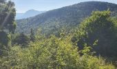 Tour Wandern Chorges - Bois du Ruban (Clot Clavary - crête du Ruban) - Photo 14