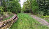 Randonnée Marche Spa - barisart . geronstere . creppe . barisart - Photo 10