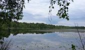 Tour Wandern Nouan-le-Fuzelier - les etangs de lévrys - Photo 3