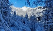 Tocht Sneeuwschoenen Le Grand-Bornand - Grand Bornand- G2 - Photo 4