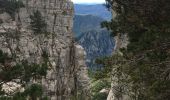 Tour Wandern Castellane - Cadières de Brandis - Photo 8