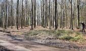 Tour Elektrofahrrad Ronse - Renaix - Louise Marie (chemins boisés) - Photo 3