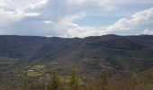 Excursión Senderismo Les Plans - Les Plans - Plateau du Grézac - Photo 7