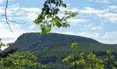 Trail Walking Mont-Dore - Mont_Dore_Puy_Gros_2 - Photo 1