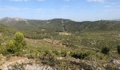 Tour Nordic Walking Carnoux-en-Provence - Mn par la couette - Photo 2