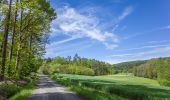 Tour Zu Fuß Ebern - Lauftour EBN2 - Photo 9