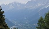 Trail Walking Saint-Gervais-les-Bains - J8 - Grand Balcon Nord : Prarion - Bellevue - Photo 8