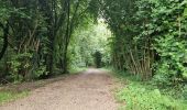 Trail Walking Vadencourt - Vadencourt- Tupigny - Photo 1