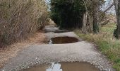 Tocht Stappen Argelès-sur-Mer - mas larrieu - argeles / l hiver - Photo 5