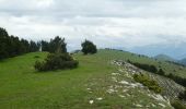 Randonnée Marche Châtillon-en-Diois - Montagne de Beaupuy - Nonnières - Photo 15