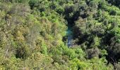 Tocht Stappen Saint-Cézaire-sur-Siagne - Le canal et la rivière de la Siagne  - Photo 11