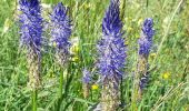Tour Wandern Hauteluce - TOUR DE LA LEGETTE - Photo 10