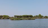 Trail Walking Saint-Cyprien - st cyprien de merde - Photo 12