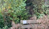 Trail Walking Aywaille - Boucle Aywaille - Photo 9