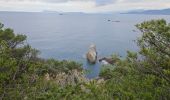 Tocht Stappen Hyères - Presqu'ile de Giens - Photo 2