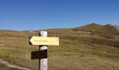 Tour Wandern Jausiers - lac des terres plaiihes tec - Photo 5