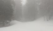 Randonnée Raquettes à neige Autrans-Méaudre en Vercors - Pas de la clé - Photo 1