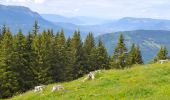 Trail Walking Crêts-en-Belledonne - LE REFUGE DU CRET DU POULET - Photo 3