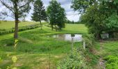 Trail Walking Vresse-sur-Semois - Allesur Semois 020625 - Photo 16