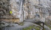 Randonnée A pied Toblach - Dobbiaco - IT-6A - Photo 3