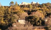 Excursión Senderismo Flassans-sur-Issole - Château des PONTEVES-12-12-22 - Photo 4