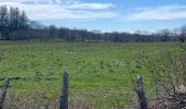 Trail Walking Laguiole - La Montagnette aubrac laguiolle - Photo 1