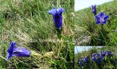 Trail Walking Thoiry - La Galoppaz-2022-05-21 - Photo 1