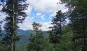 Tour Wandern Wegscheid - Sortie école primaire - Rossberg - Photo 2