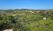 Tour Radtourismus  Silves - Silves - Lagos - Photo 1