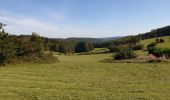 Randonnée Marche Couvin - Marche Adeps á Presgaux - Photo 1