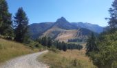 Trail Walking Ancelle - crêtes d´Auréous : col de la Moissière . Chatégré . St Philippe . lac de Faudon  - Photo 10