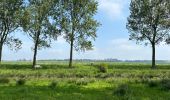 Trail Walking Sluis - Aardenburg 19 km - Photo 10