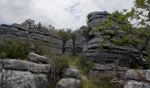 Randonnée A pied Signes - Sioux Blanc,les bidoufles,le pas de Belgentier, les aiguilles et retour - Photo 9