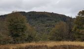 Trail Walking Sewen - Ballon d'Alsace - Lac d'Alfed et sa cascade - Col du Bonhomme - Ballon d'Alsace - Photo 19