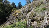 Randonnée Marche Saint-Maurice-sur-Moselle - Rouge Gazon - Lacs des Perches et du Neuweiher - Col des Charbonniers  - Photo 19