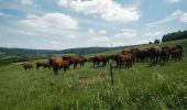 Excursión Bici de montaña Virton - Le Bévaux et Saint-Pancré  -  Balade_VTT_34kms - Photo 18