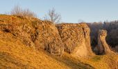 Tour Zu Fuß Litzendorf - Rund um den Ellerberg - Photo 6