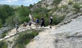 Tour Wandern Quinson - Quinson Verdon 13 km - Photo 1