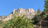 Randonnée Marche Castellane - Les Cadieres de Brandis - Photo 3