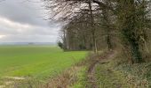 Trail Walking Walcourt - Walcourt 13 km - Photo 19