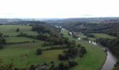 Tour Wandern Esneux - La roche aux faucons - Tilf - Bois du Sart Tilman - Photo 1