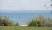 Tocht Stappen Saint-Mitre-les-Remparts - PF-Saint-Mitre-les-Remparts - Le Balcon du Caderaou - Photo 9